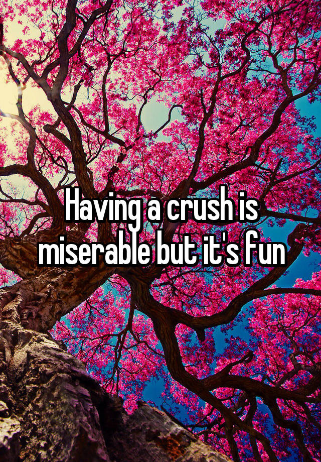 Having a crush is miserable but it's fun