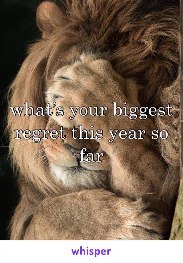 what’s your biggest regret this year so far