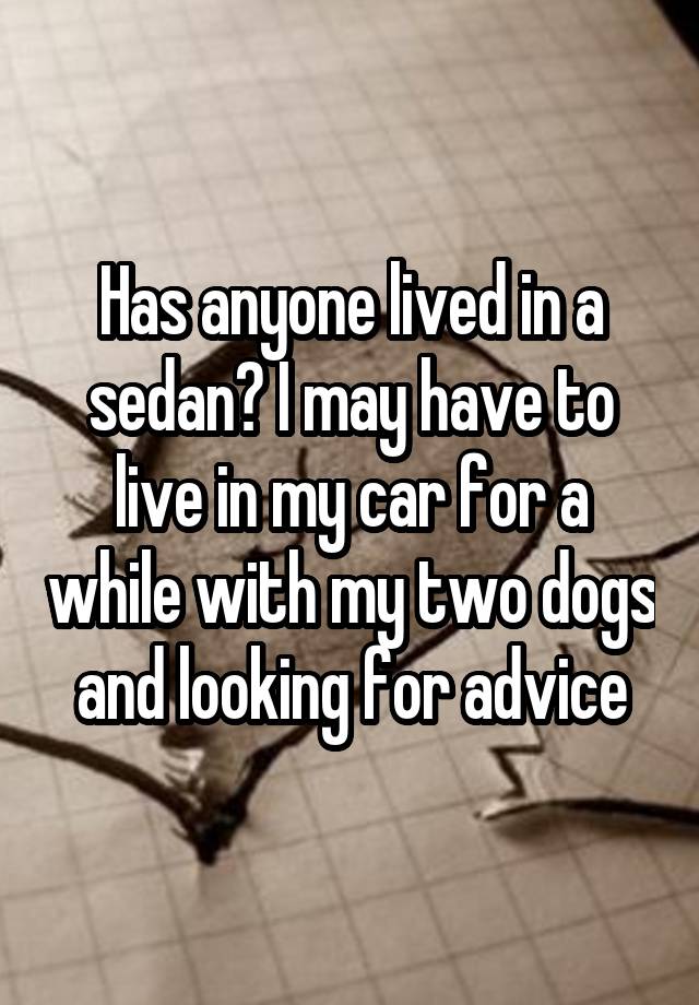 Has anyone lived in a sedan? I may have to live in my car for a while with my two dogs and looking for advice