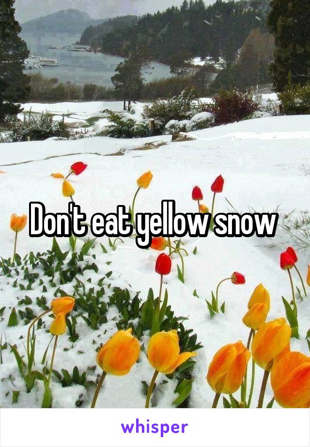 Don't eat yellow snow 