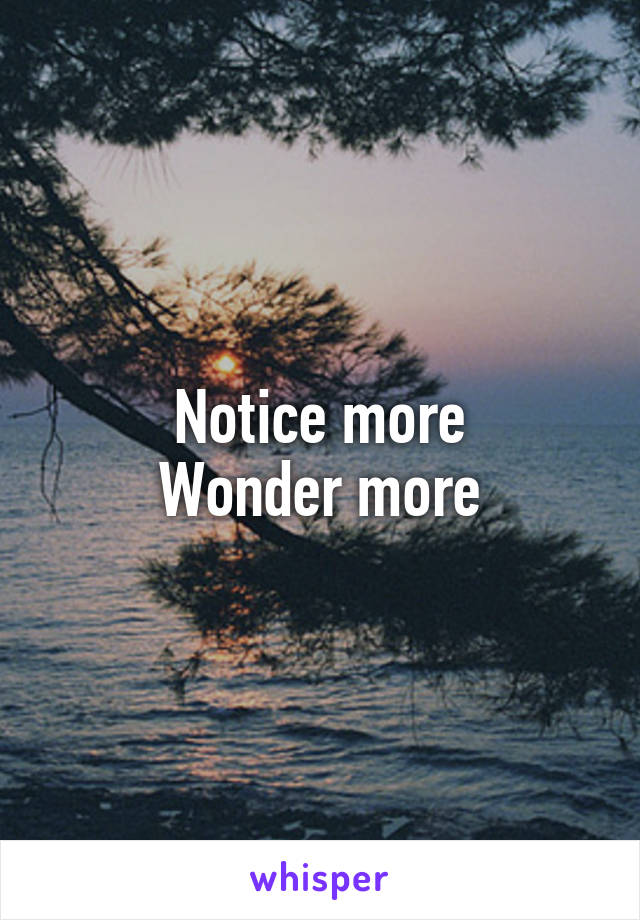 Notice more
Wonder more