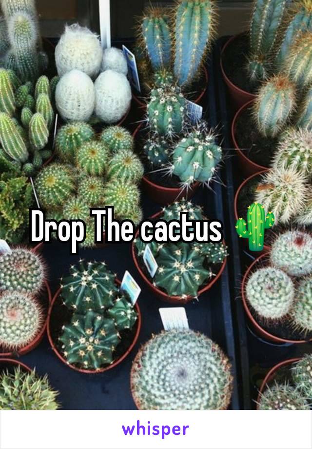 Drop The cactus 🌵