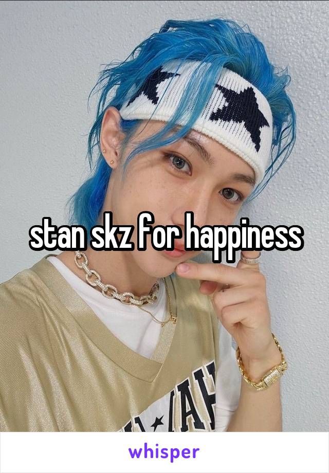 stan skz for happiness