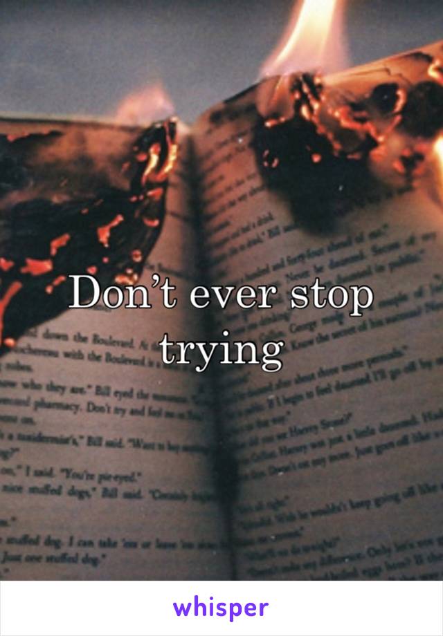 Don’t ever stop trying