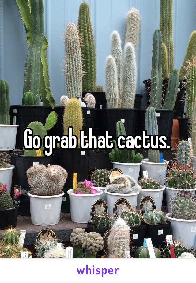 Go grab that cactus. 