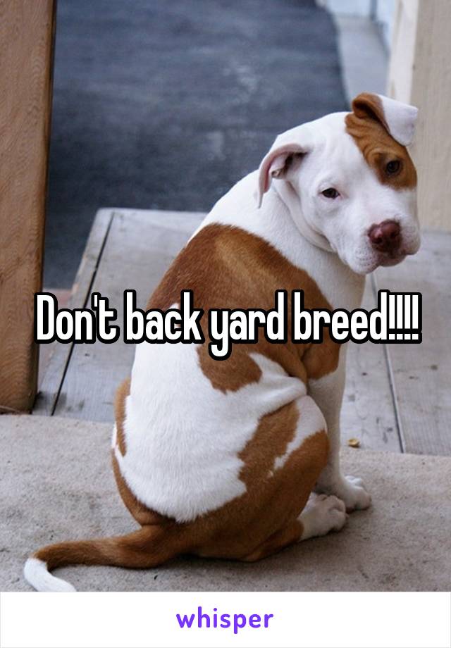 Don't back yard breed!!!!