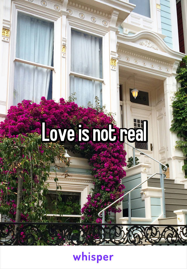 Love is not real