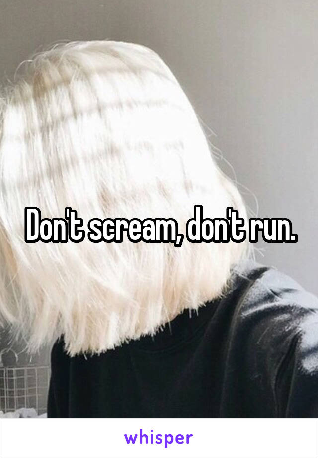 Don't scream, don't run.