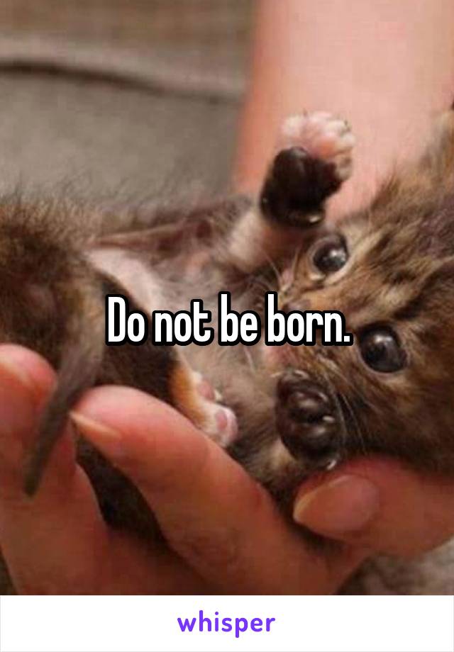 Do not be born.