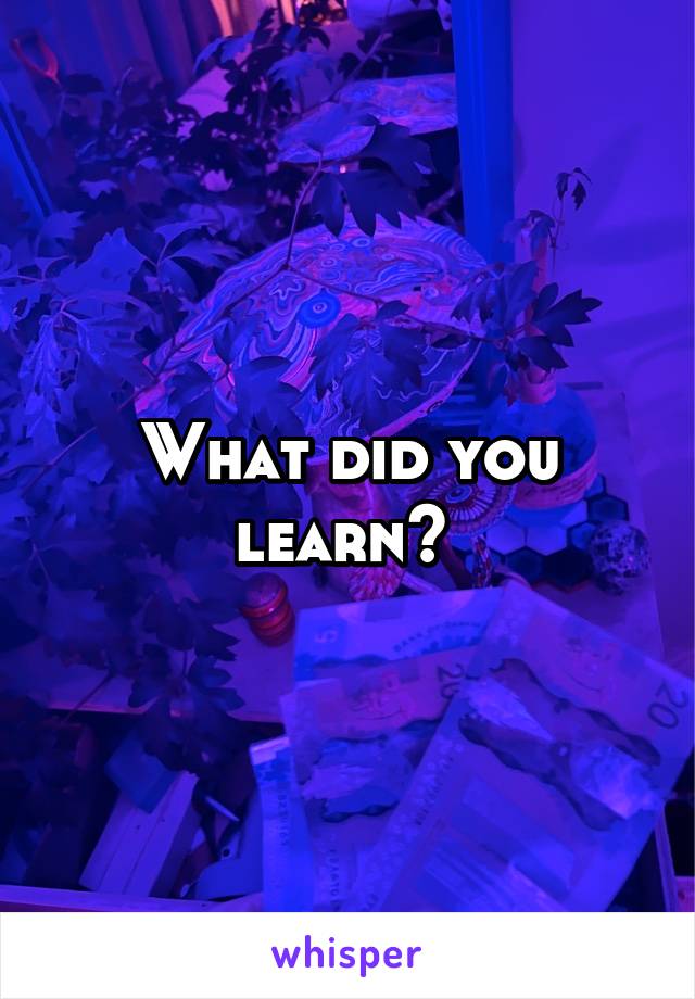 What did you learn? 