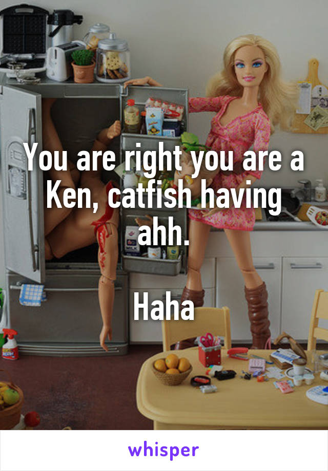 You are right you are a Ken, catfish having ahh.

Haha