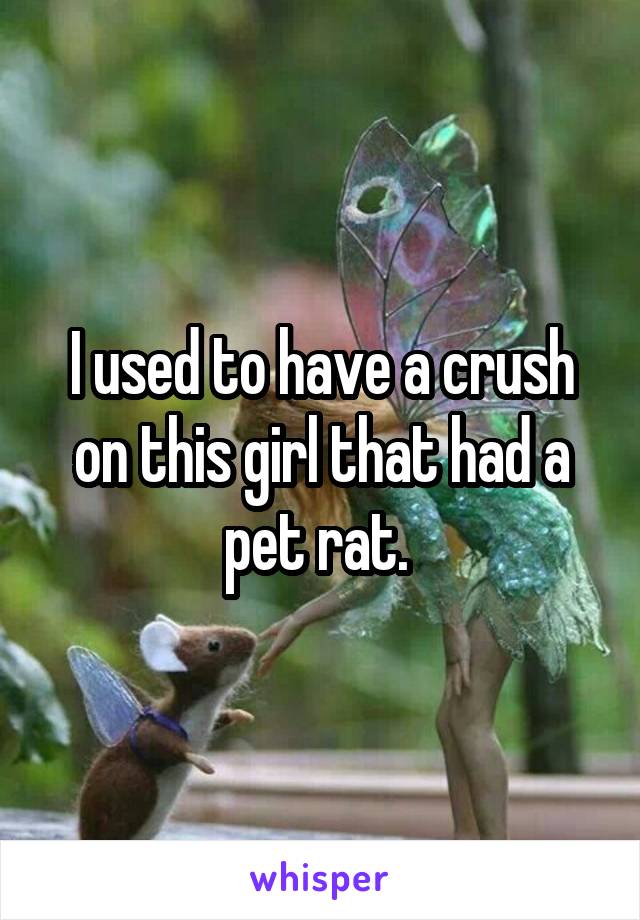 I used to have a crush on this girl that had a pet rat. 