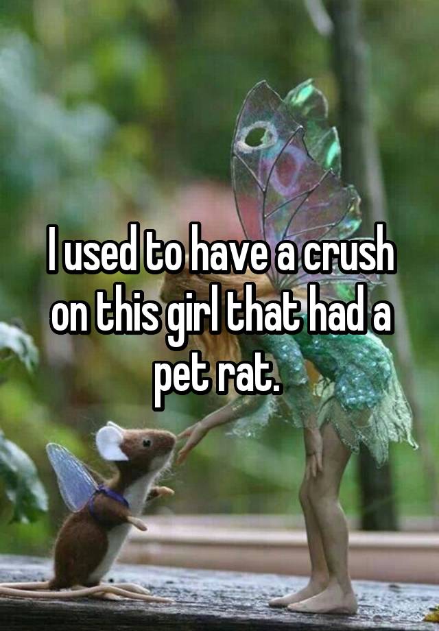 I used to have a crush on this girl that had a pet rat. 