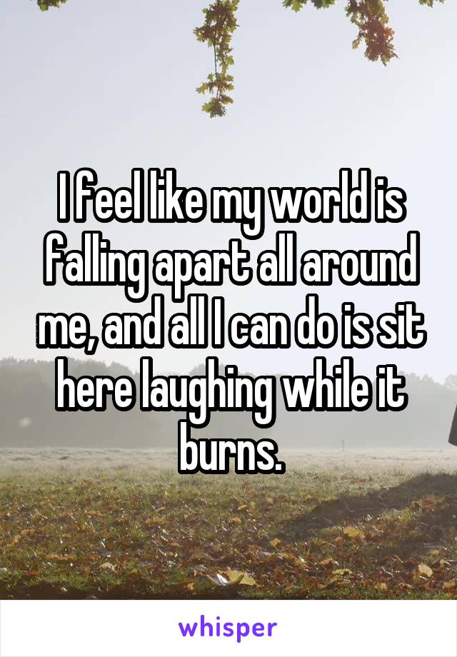 I feel like my world is falling apart all around me, and all I can do is sit here laughing while it burns.