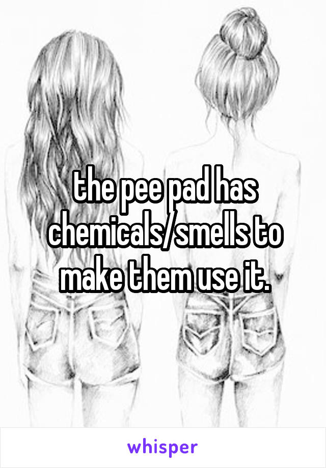 the pee pad has chemicals/smells to make them use it.