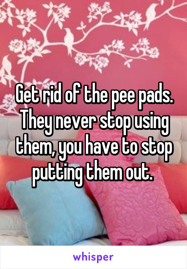 Get rid of the pee pads. They never stop using them, you have to stop putting them out. 