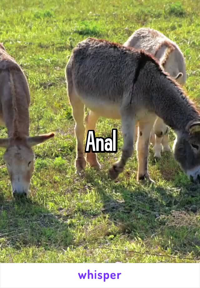 Anal