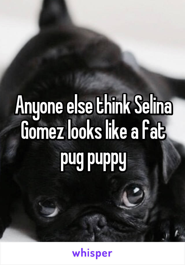 Anyone else think Selina Gomez looks like a fat pug puppy