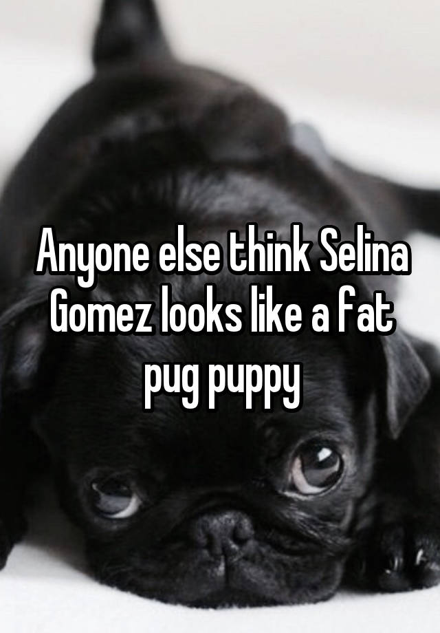 Anyone else think Selina Gomez looks like a fat pug puppy