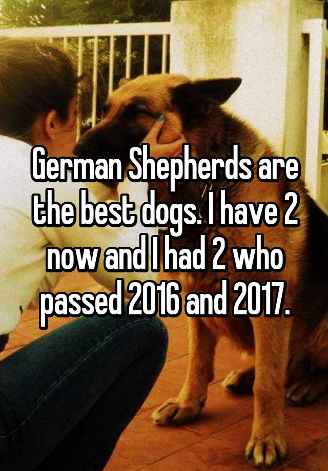 German Shepherds are the best dogs. I have 2 now and I had 2 who passed 2016 and 2017.