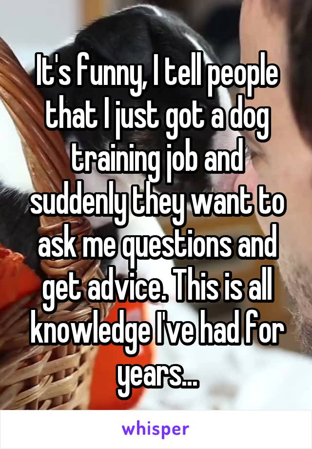 It's funny, I tell people that I just got a dog training job and suddenly they want to ask me questions and get advice. This is all knowledge I've had for years...