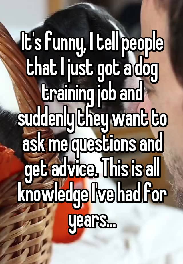 It's funny, I tell people that I just got a dog training job and suddenly they want to ask me questions and get advice. This is all knowledge I've had for years...