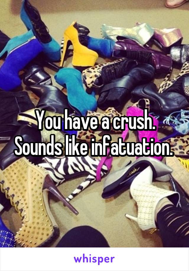 You have a crush. Sounds like infatuation. 