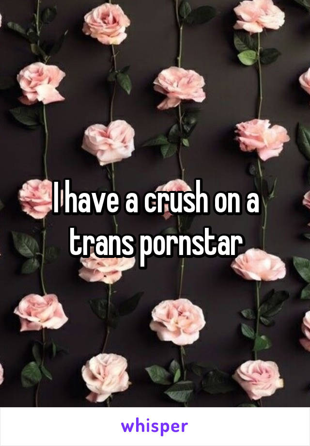 I have a crush on a trans pornstar