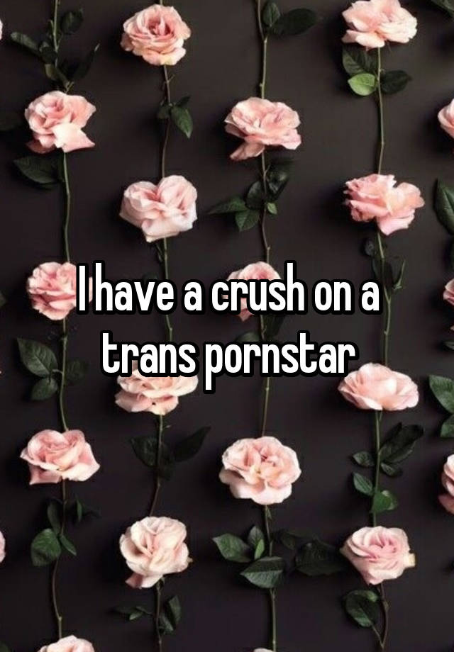 I have a crush on a trans pornstar