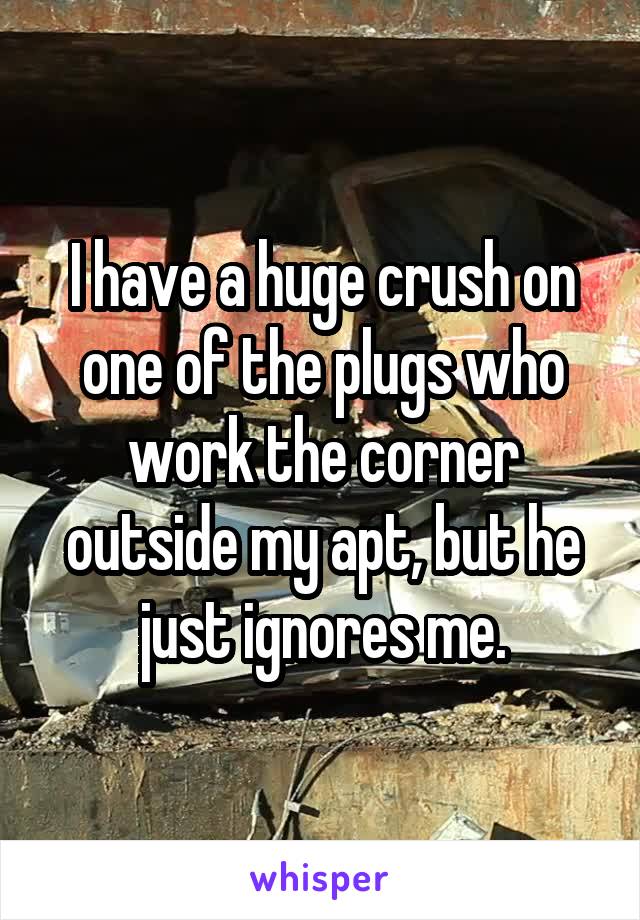 I have a huge crush on one of the plugs who work the corner outside my apt, but he just ignores me.