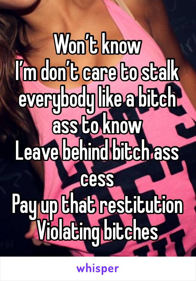 Won’t know
I’m don’t care to stalk everybody like a bitch ass to know
Leave behind bitch ass cess
Pay up that restitution 
Violating bitches