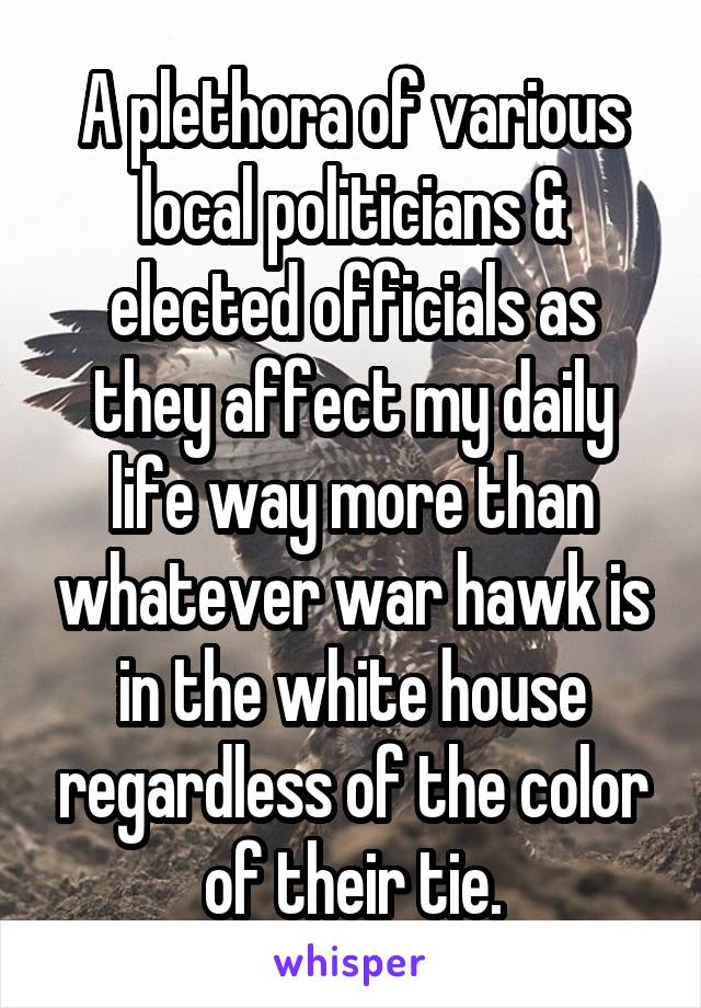 A plethora of various local politicians & elected officials as they affect my daily life way more than whatever war hawk is in the white house regardless of the color of their tie.