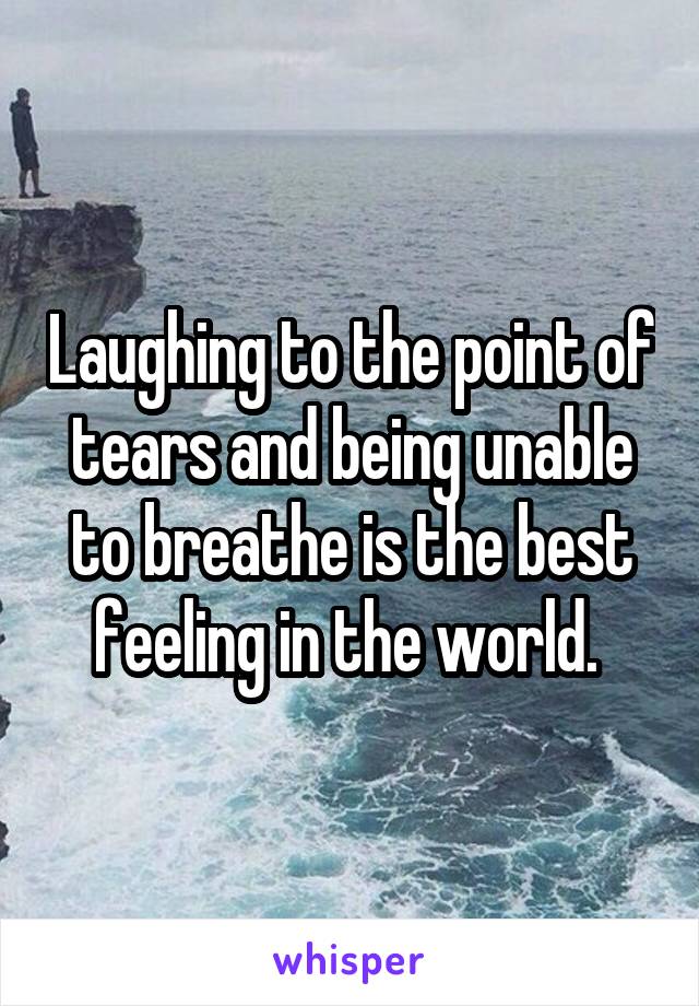 Laughing to the point of tears and being unable to breathe is the best feeling in the world. 