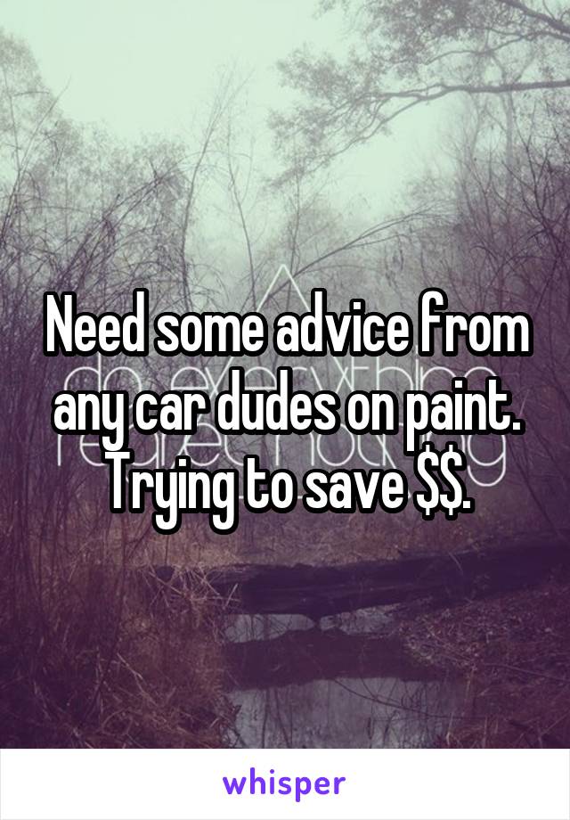 Need some advice from any car dudes on paint. Trying to save $$.