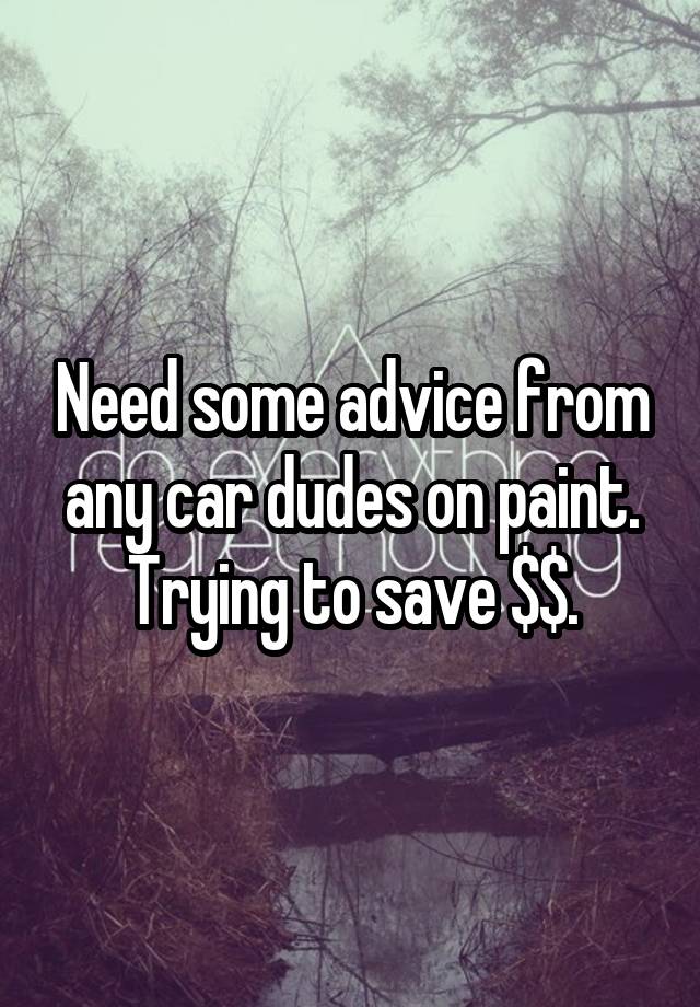 Need some advice from any car dudes on paint. Trying to save $$.