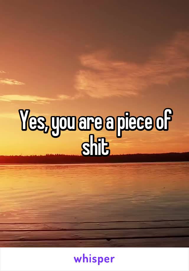 Yes, you are a piece of shit