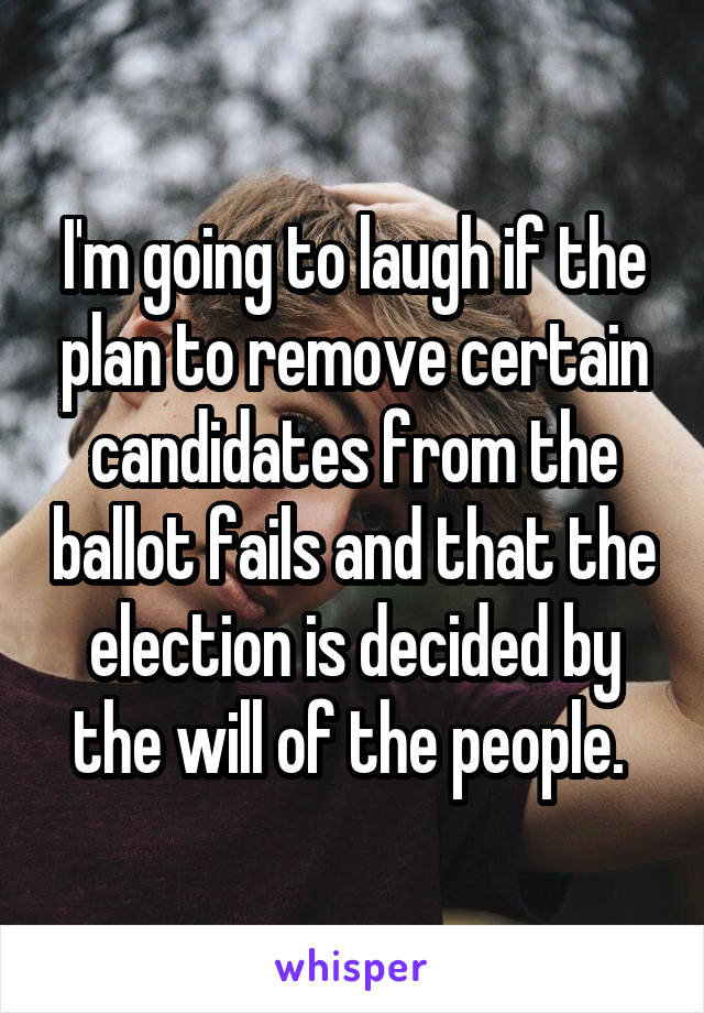 I'm going to laugh if the plan to remove certain candidates from the ballot fails and that the election is decided by the will of the people. 