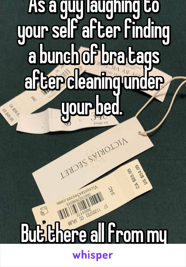 As a guy laughing to your self after finding a bunch of bra tags after cleaning under your bed. 




But there all from my bras.