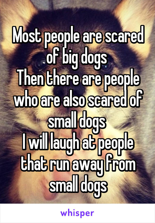 Most people are scared of big dogs 
Then there are people who are also scared of small dogs 
I will laugh at people that run away from small dogs