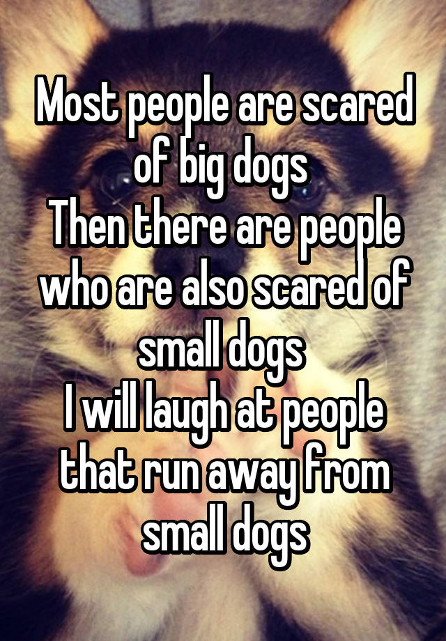 Most people are scared of big dogs 
Then there are people who are also scared of small dogs 
I will laugh at people that run away from small dogs