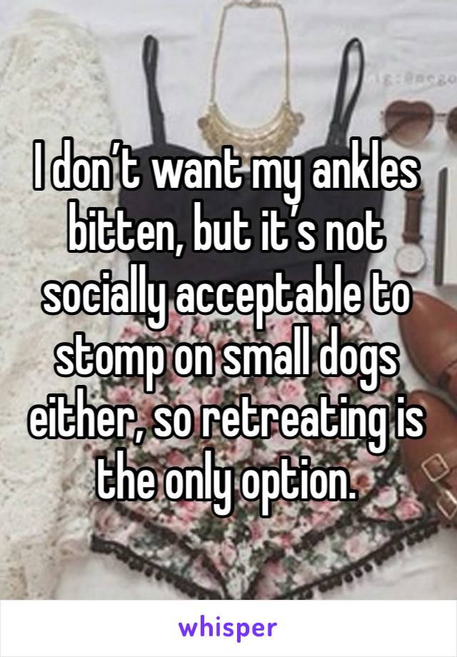 I don’t want my ankles bitten, but it’s not socially acceptable to stomp on small dogs either, so retreating is the only option.