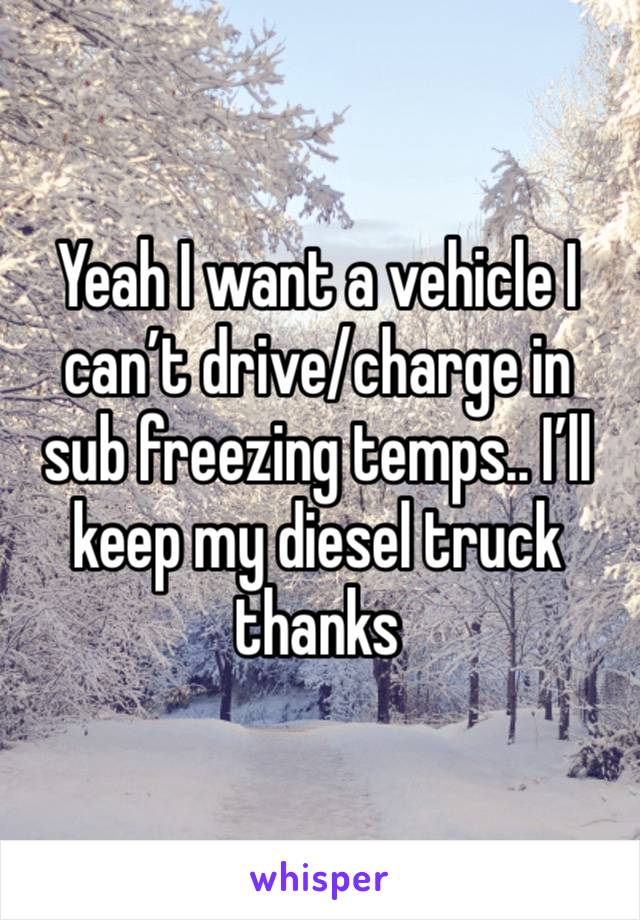 Yeah I want a vehicle I can’t drive/charge in sub freezing temps.. I’ll keep my diesel truck thanks