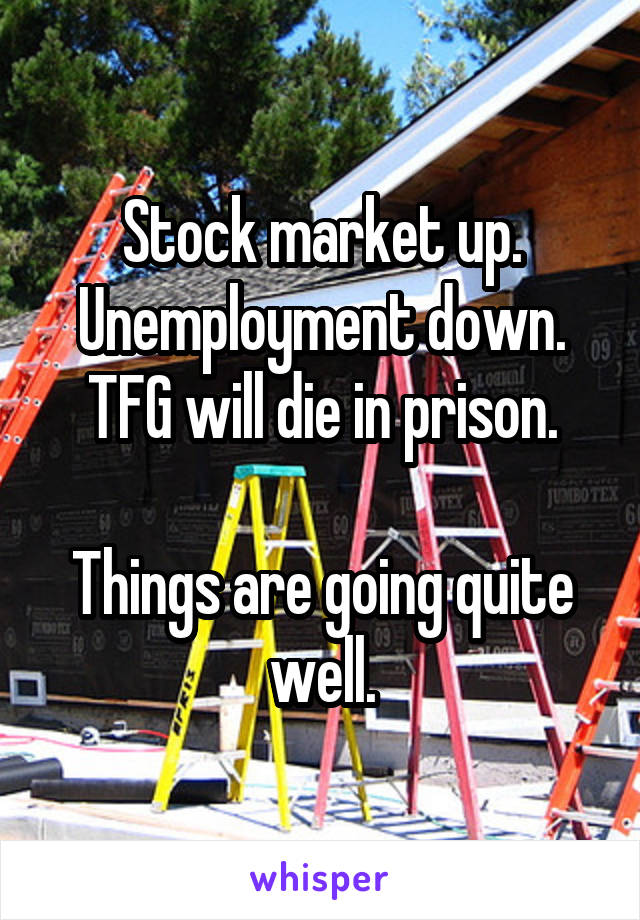 Stock market up.
Unemployment down.
TFG will die in prison.

Things are going quite well.