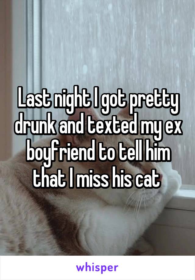 Last night I got pretty drunk and texted my ex boyfriend to tell him that I miss his cat 