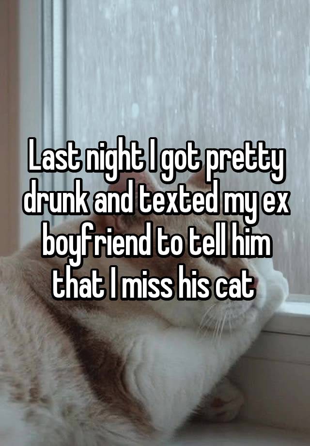 Last night I got pretty drunk and texted my ex boyfriend to tell him that I miss his cat 