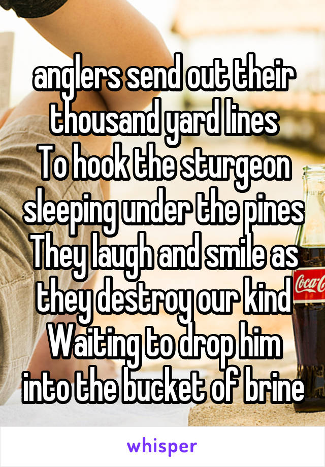 anglers send out their thousand yard lines
To hook the sturgeon sleeping under the pines
They laugh and smile as they destroy our kind
Waiting to drop him into the bucket of brine