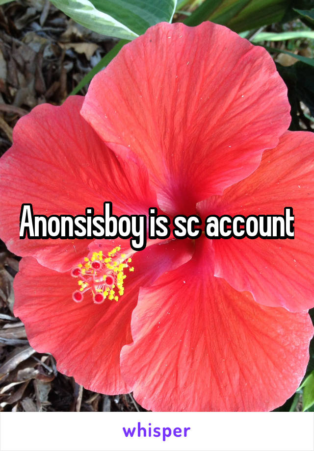 Anonsisboy is sc account