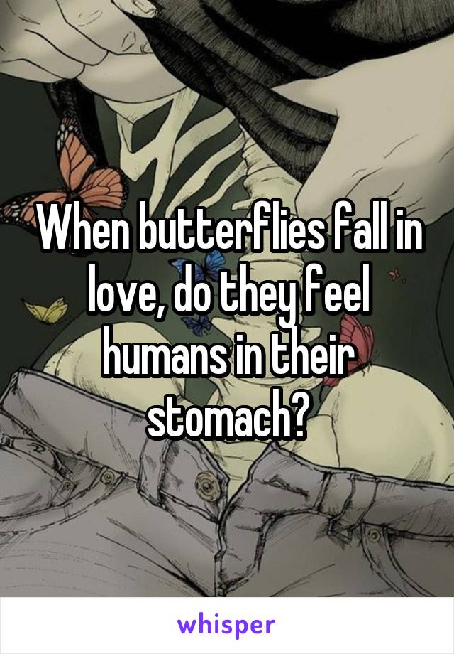 When butterflies fall in love, do they feel humans in their stomach?