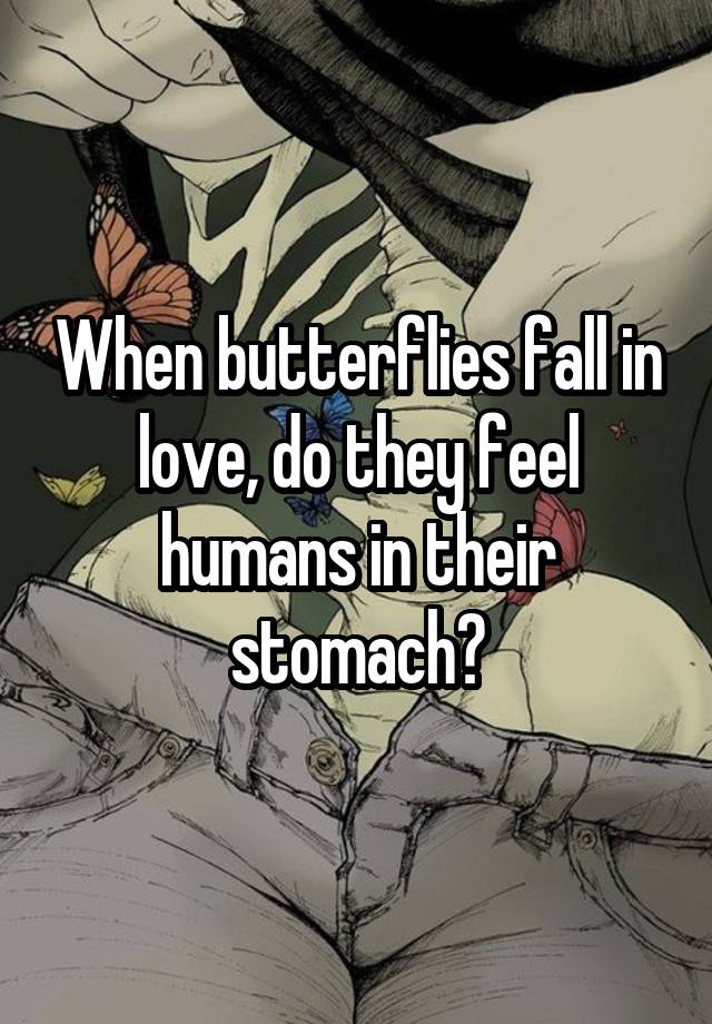 When butterflies fall in love, do they feel humans in their stomach?