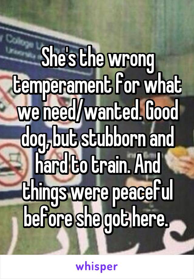 She's the wrong temperament for what we need/wanted. Good dog, but stubborn and hard to train. And things were peaceful before she got here. 